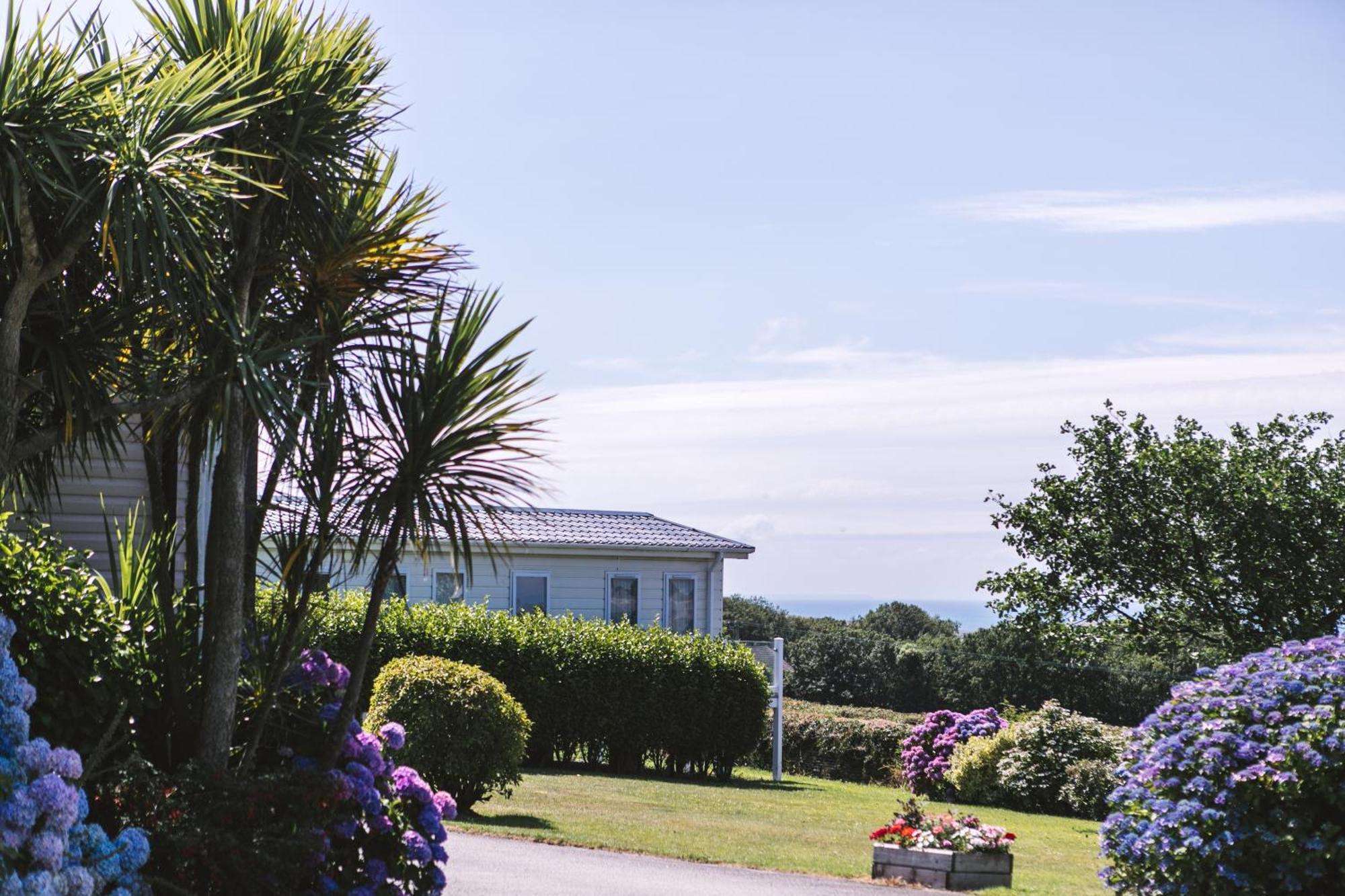 Wooda Campsite